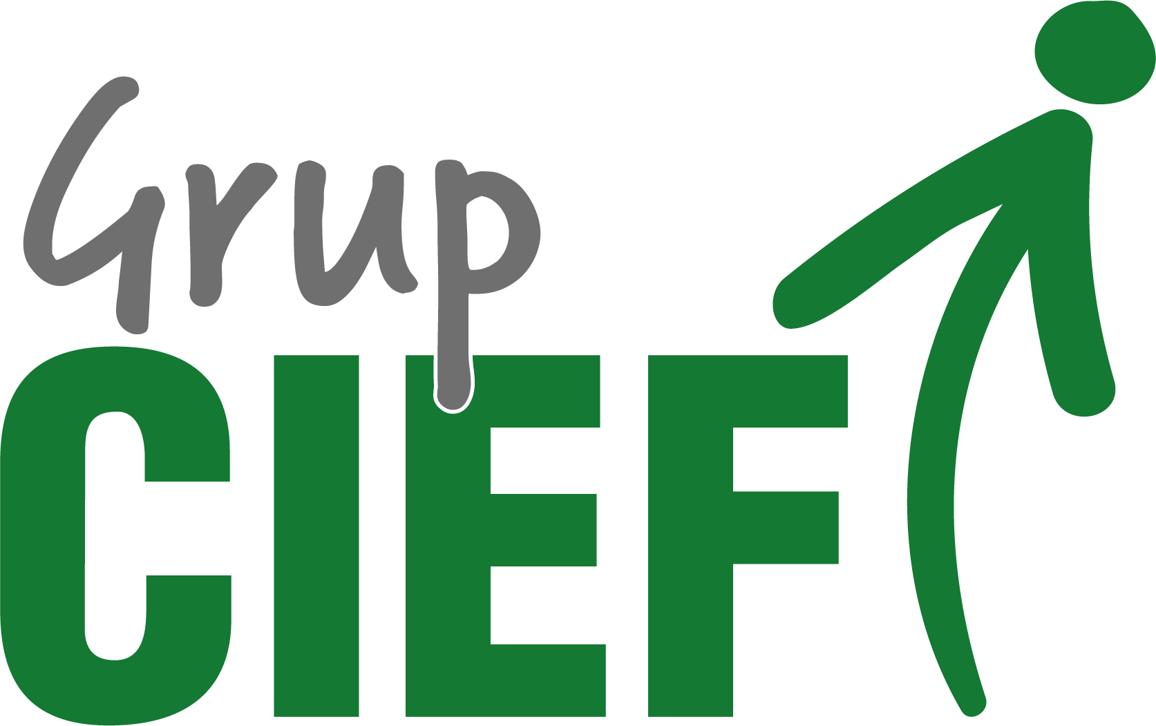 Grup CIEF
